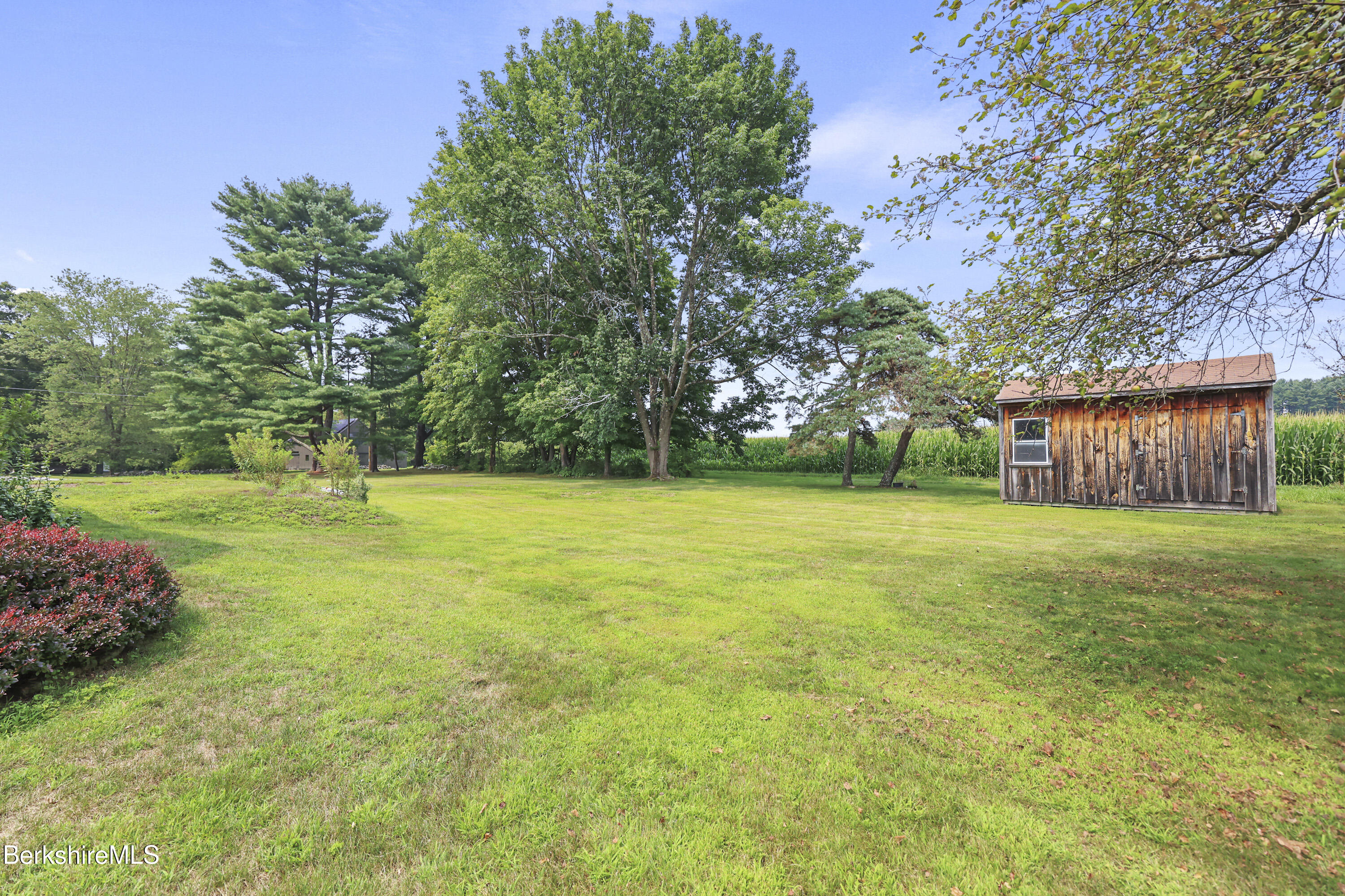 36 Egremont Plain Road Great Barrington, MA 01230 - Photo 8 of 36 Back Yard