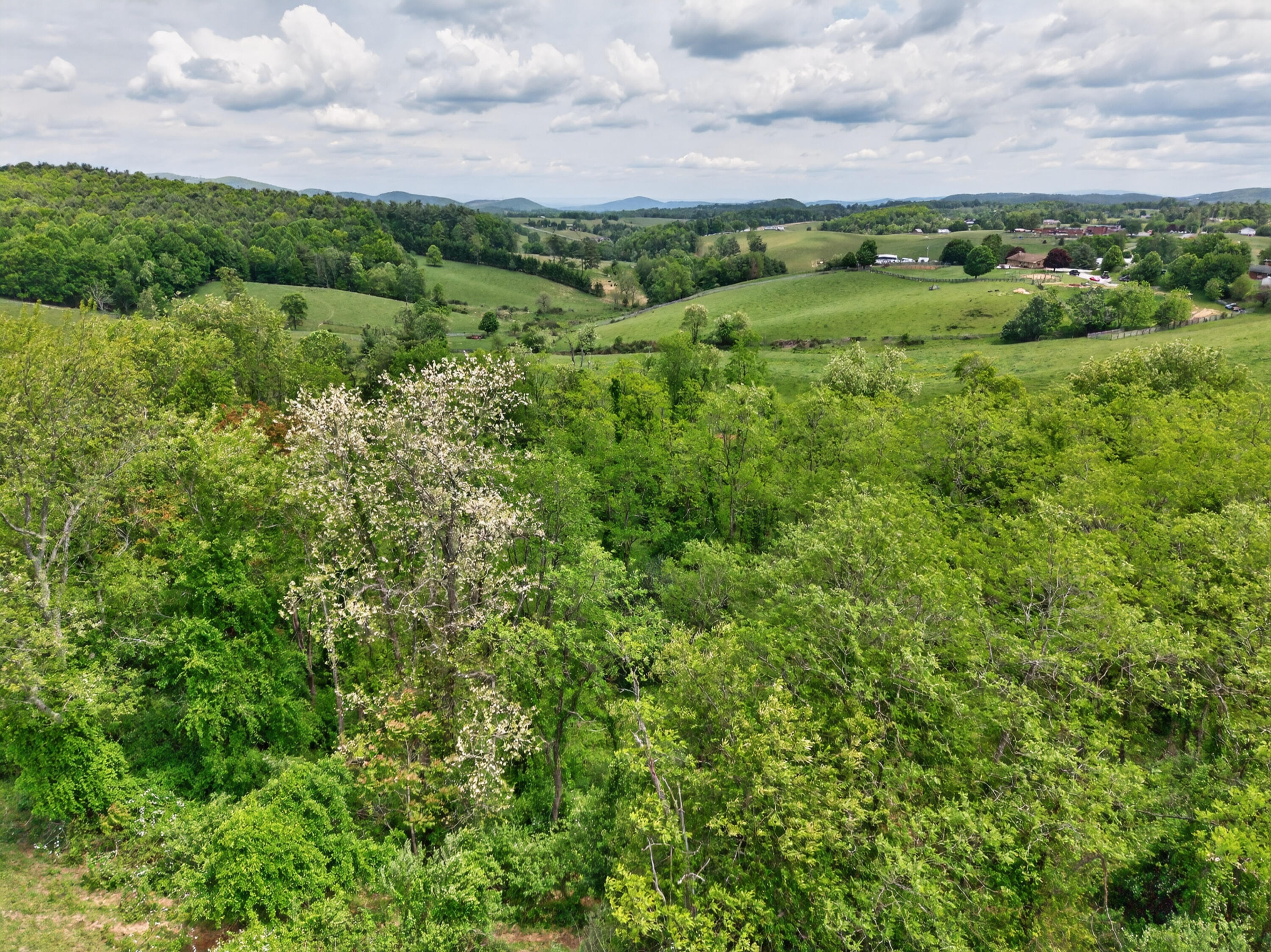 217 Indian Valley Road Willis, VA 24380 - Photo 94 of 120 willis-89