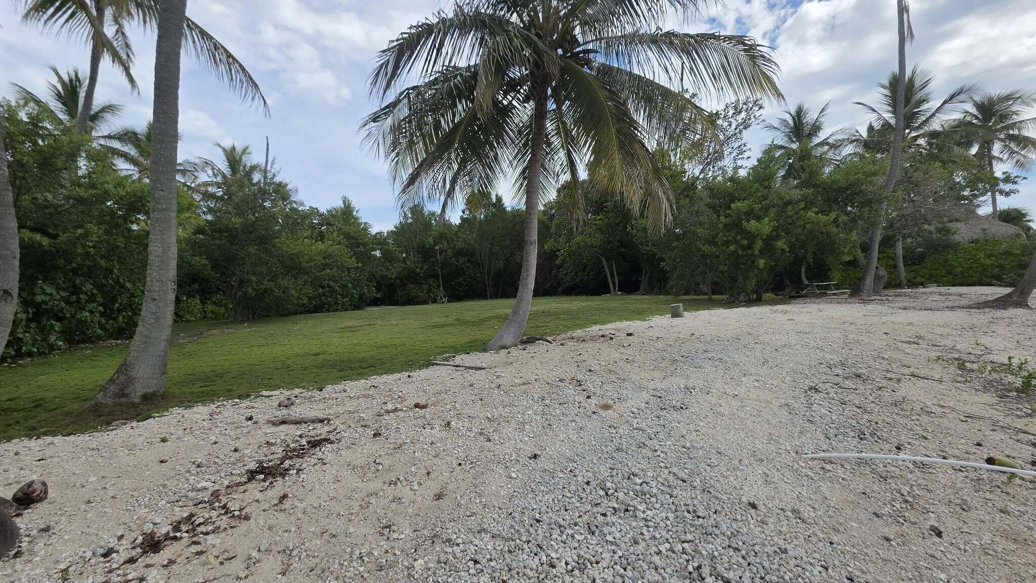 54 Sunset Road Key Largo, FL 33037 - Photo 8 of 26 Beach view cleared lot