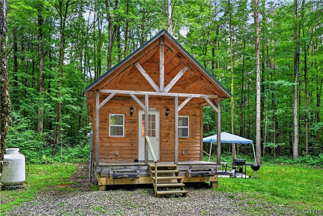 11 Beaver Dam Brook Road Altmar, NY 13302 - Photo 2 of 31 Gallery Image 2