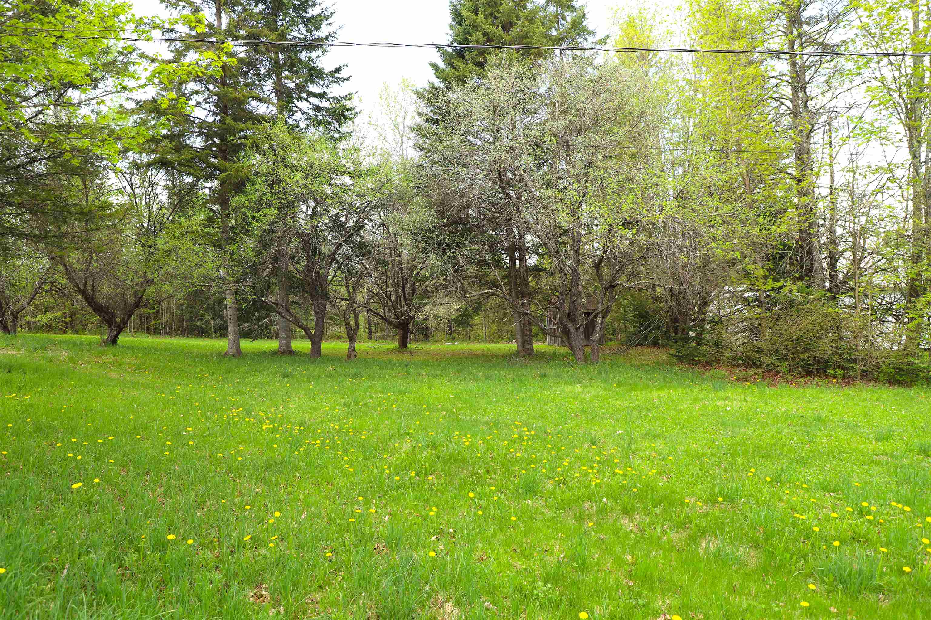 1760 Wheelock Road Sutton, VT 05867 - Photo 38 of 47