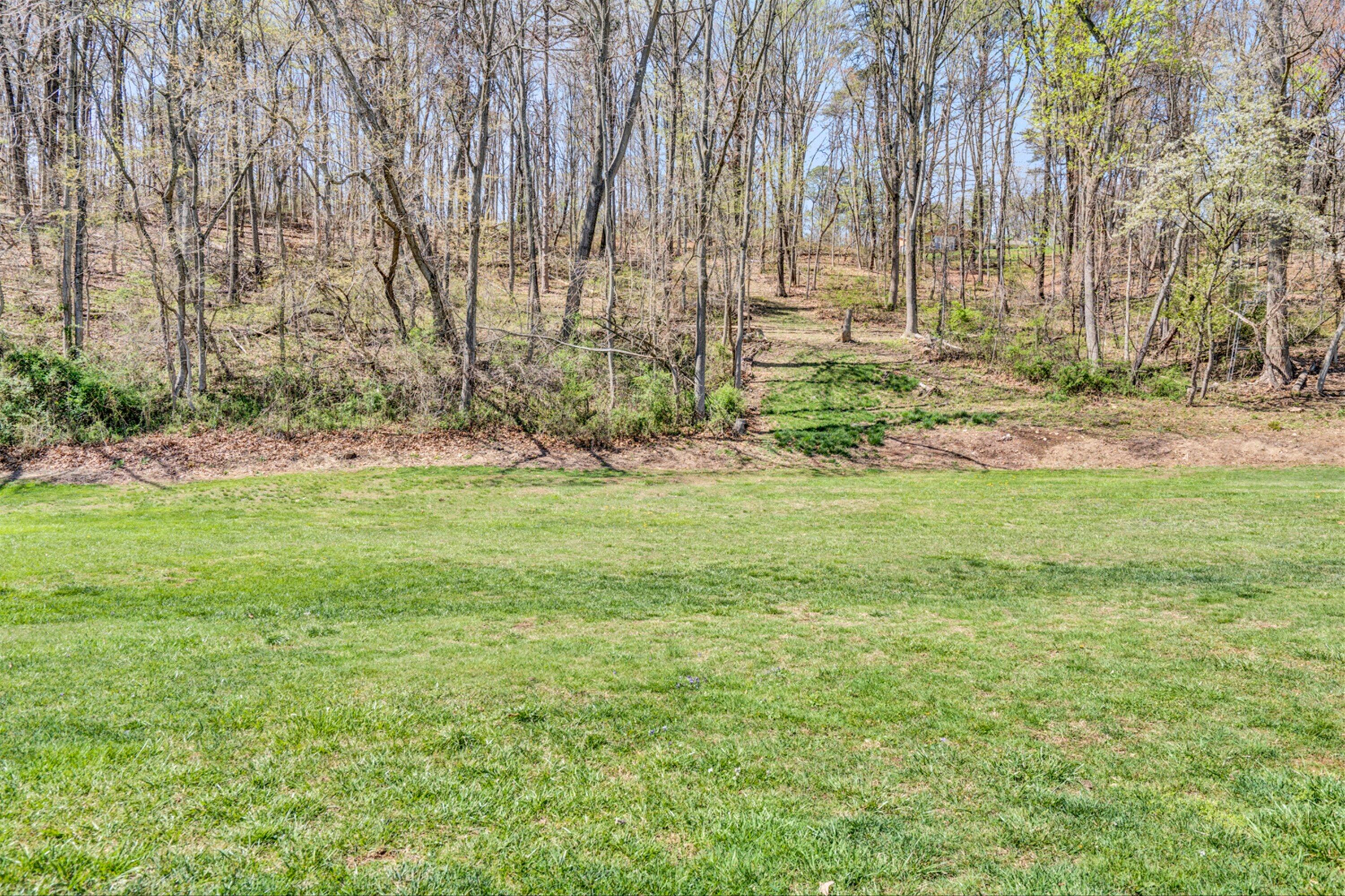487 Coaling Road Troutville, VA 24175 - Photo 13 of 15 13-DSC2825