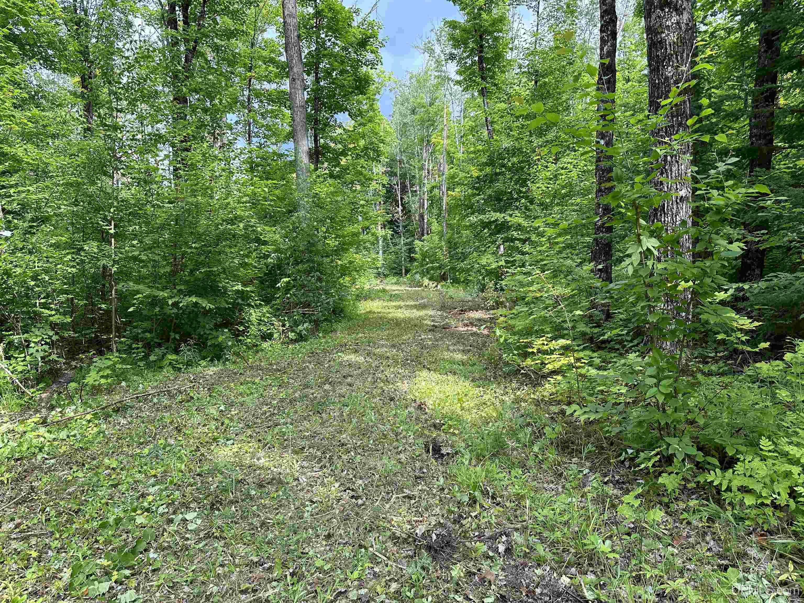 8300 Rd Marenisco Mi 49947 Road Marenisco, MI 49947 - Photo 5 of 13