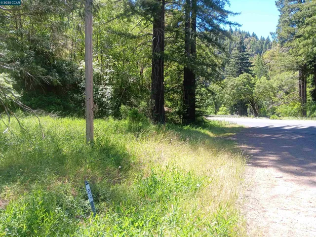 $100,000 | 56025 Highway 101, Laytonville, CA 95454