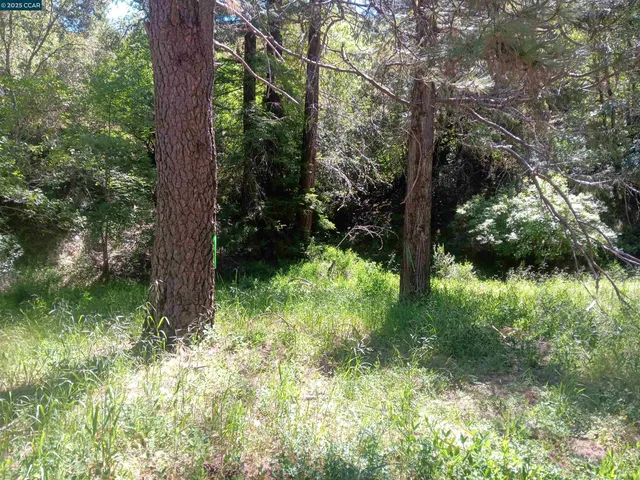 $100,000 | 56025 Highway 101, Laytonville, CA 95454