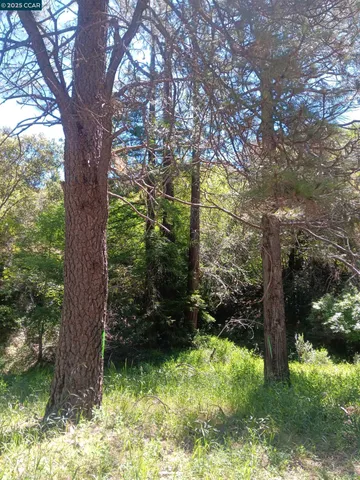 $100,000 | 56025 Highway 101, Laytonville, CA 95454