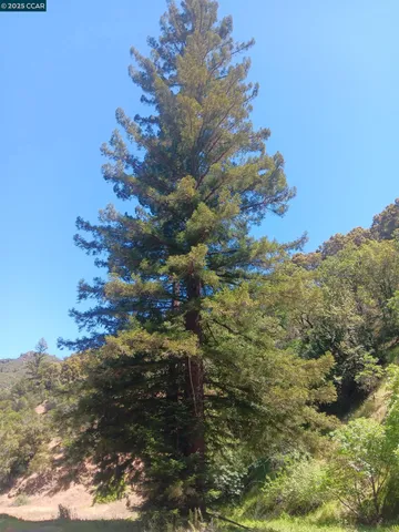 $100,000 | 56025 Highway 101, Laytonville, CA 95454