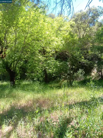 $100,000 | 56025 Highway 101, Laytonville, CA 95454