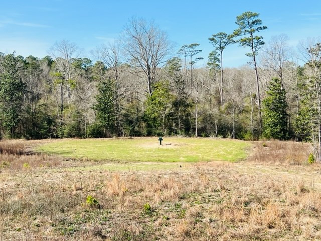 2151 Hamp Lea Road Magnolia, MS 39652 - Photo 24 of 37 Photo 24