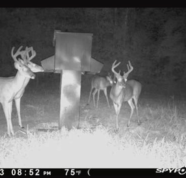 2151 Hamp Lea Road Magnolia, MS 39652 - Photo 35 of 37 Photo 35