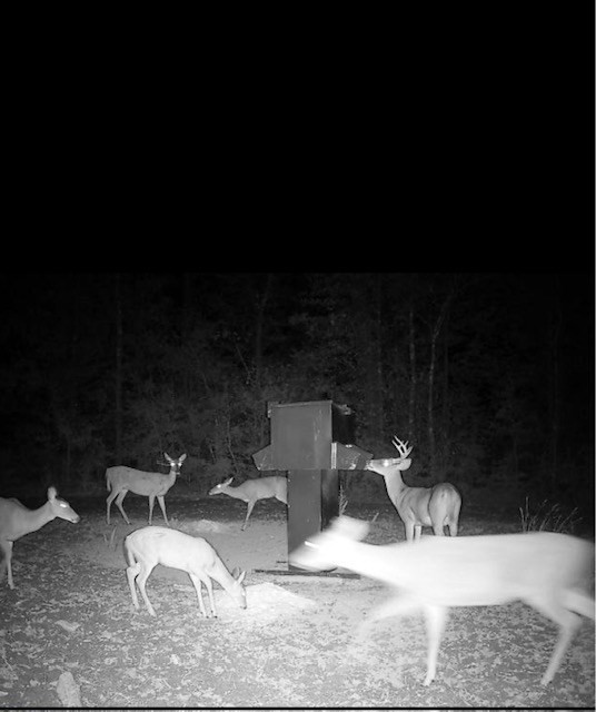2151 Hamp Lea Road Magnolia, MS 39652 - Photo 37 of 37 Photo 37