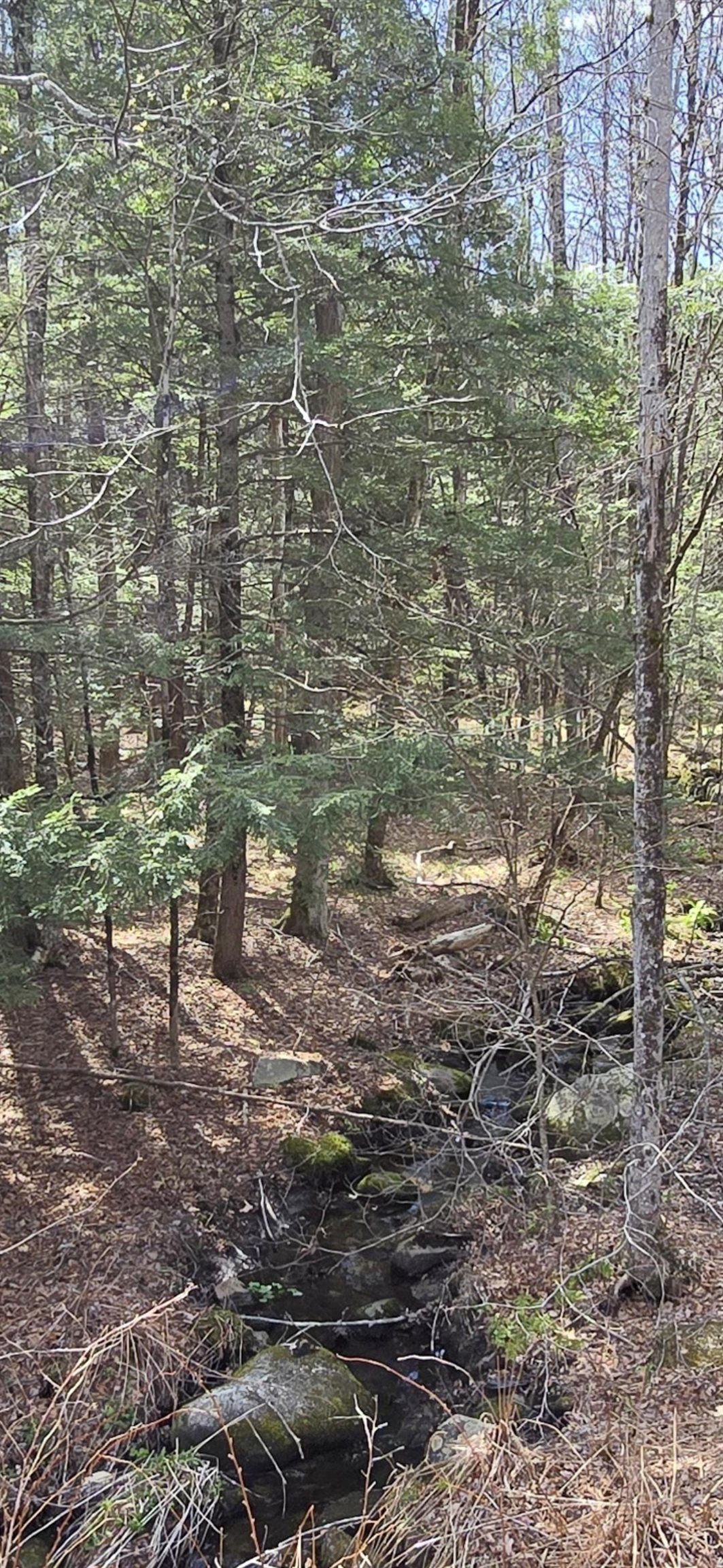 0 Jacobs Ladder Road Becket, MA 01223 - Photo 2 of 8