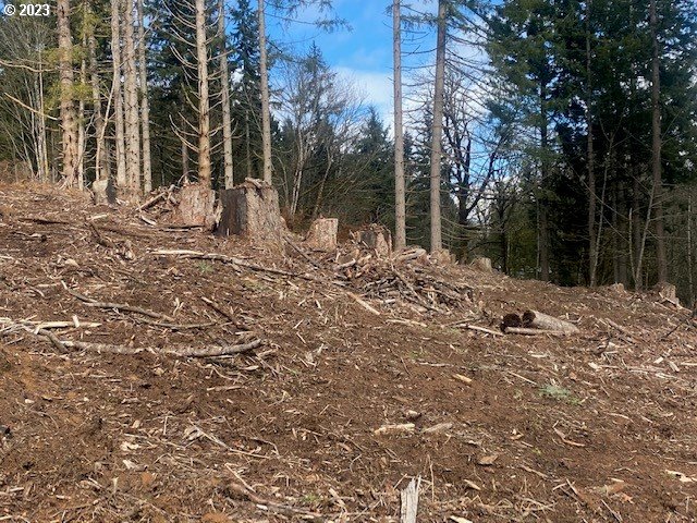 Hawthorne, Unit 8 Scappoose, OR 97056 - Photo 2 of 5 a backyard of a house with large trees