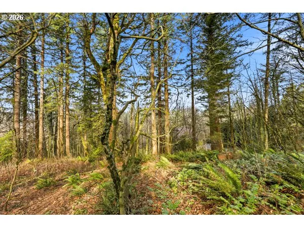 a view of outdoor space and a yard