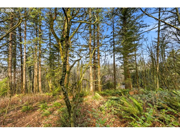 7324 Northwest Penridge Road Portland, OR 97229 - Photo 5 of 15