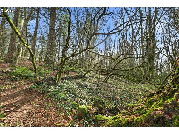 7324 Northwest Penridge Road Portland, OR 97229 - Photo 6 of 15