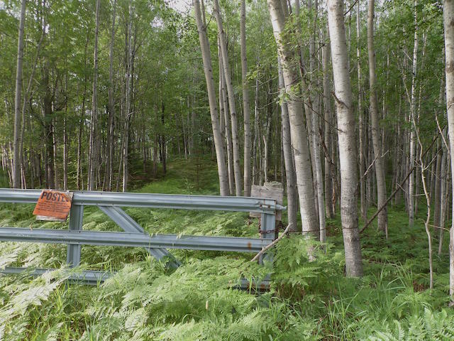 0 Mccollum Lake Road Curran, MI 48728 - Photo 1 of 10 Gallery Image 1