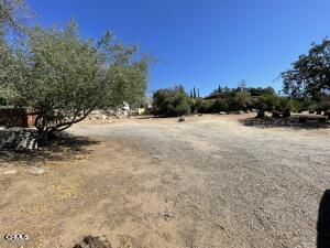 253 Evans Road Wofford Heights, CA 93285 - Photo 13 of 13 a view of a yard with a tree