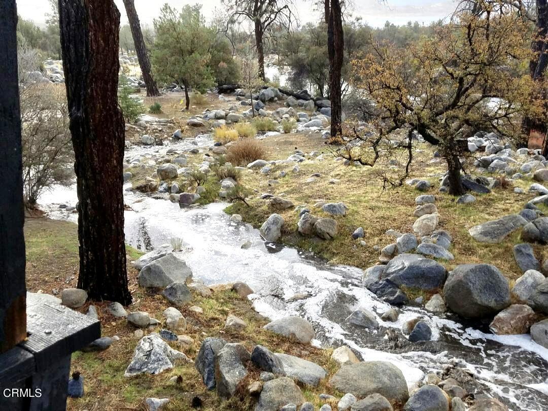 253 Evans Road Wofford Heights, CA 93285 - Photo 2 of 13 a view of a yard with snow on the road
