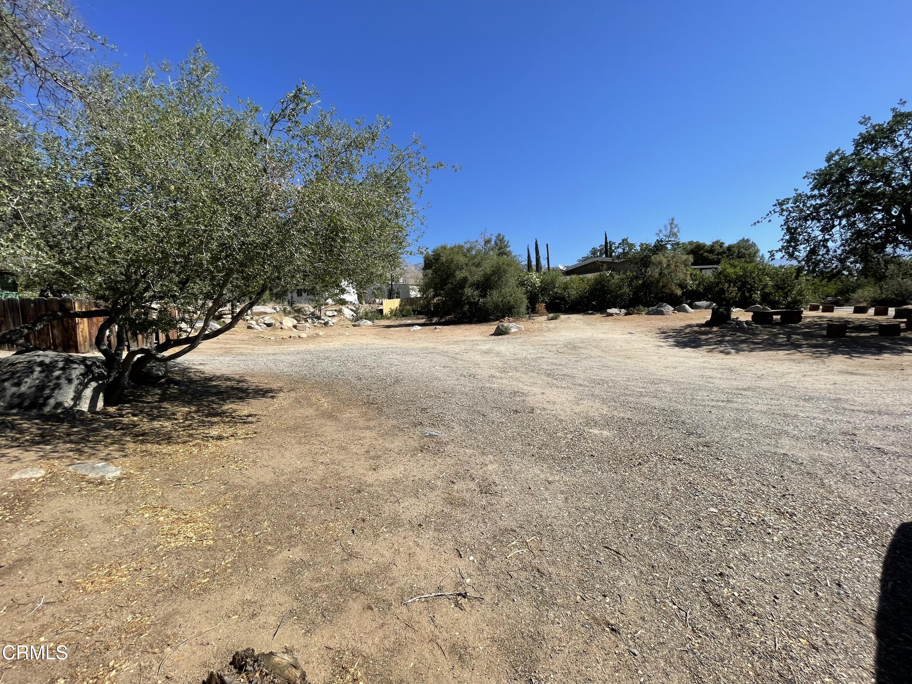 253 Evans Road Wofford Heights, CA 93285 - Photo 9 of 13 a view of a yard with a tree