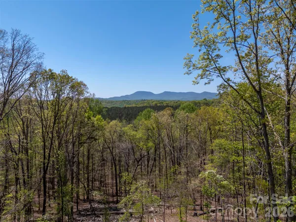 $849,000 | 2825 River Road, Columbus, NC 28722