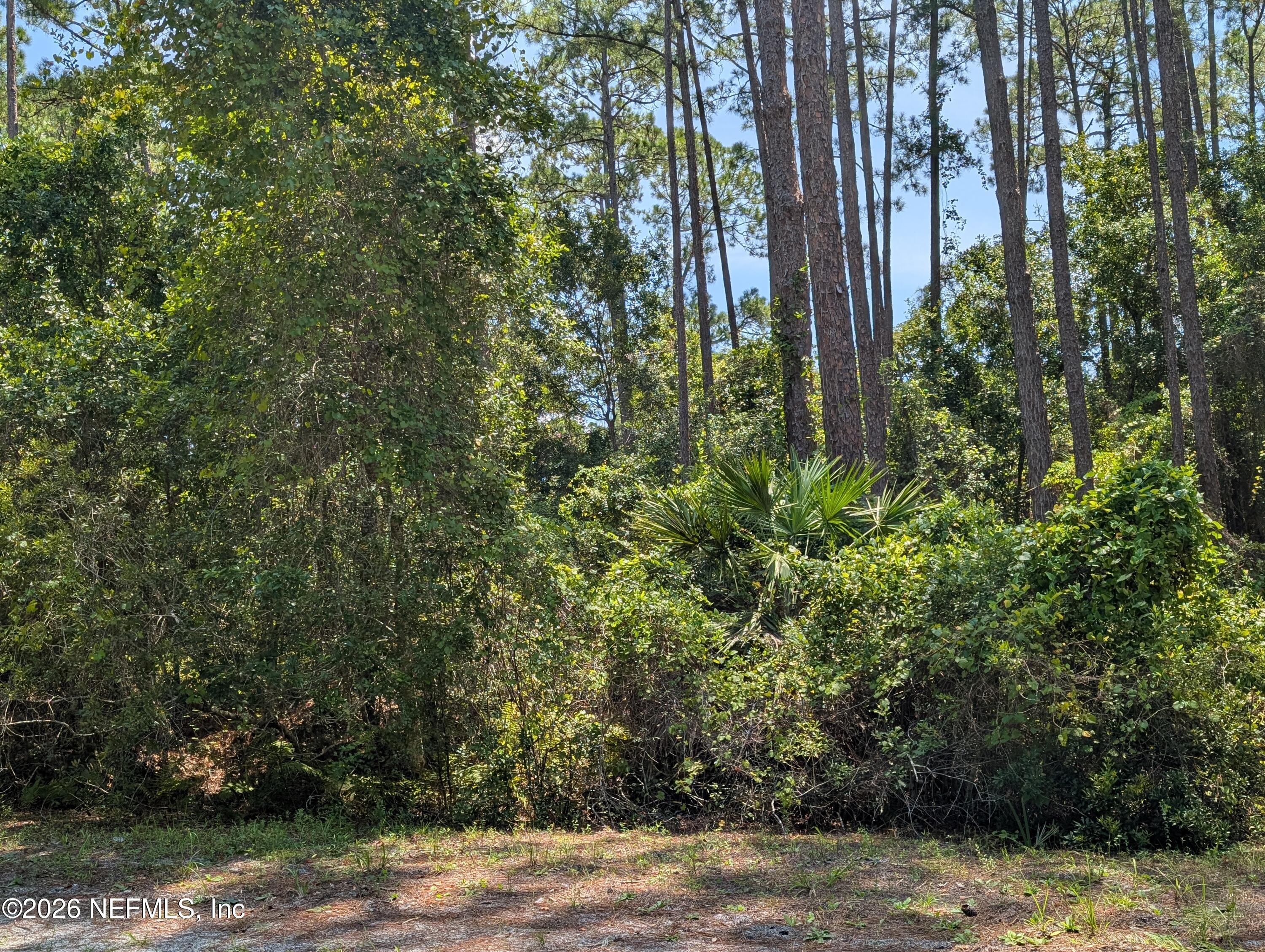 121 1st Street Georgetown, FL 32139 - Photo 5 of 6 121 SE 1ST ST