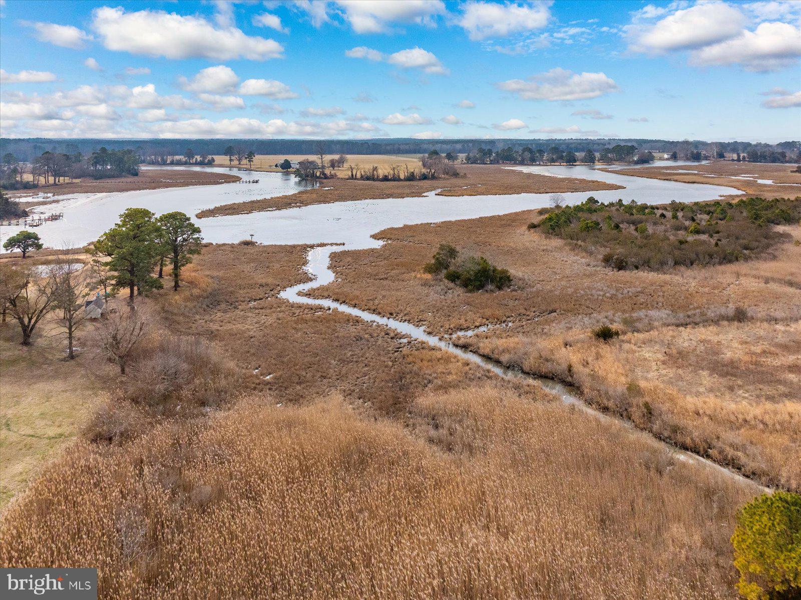 12661 Mallard Landing Road Princess Anne, MD 21853 - Photo 106 of 123