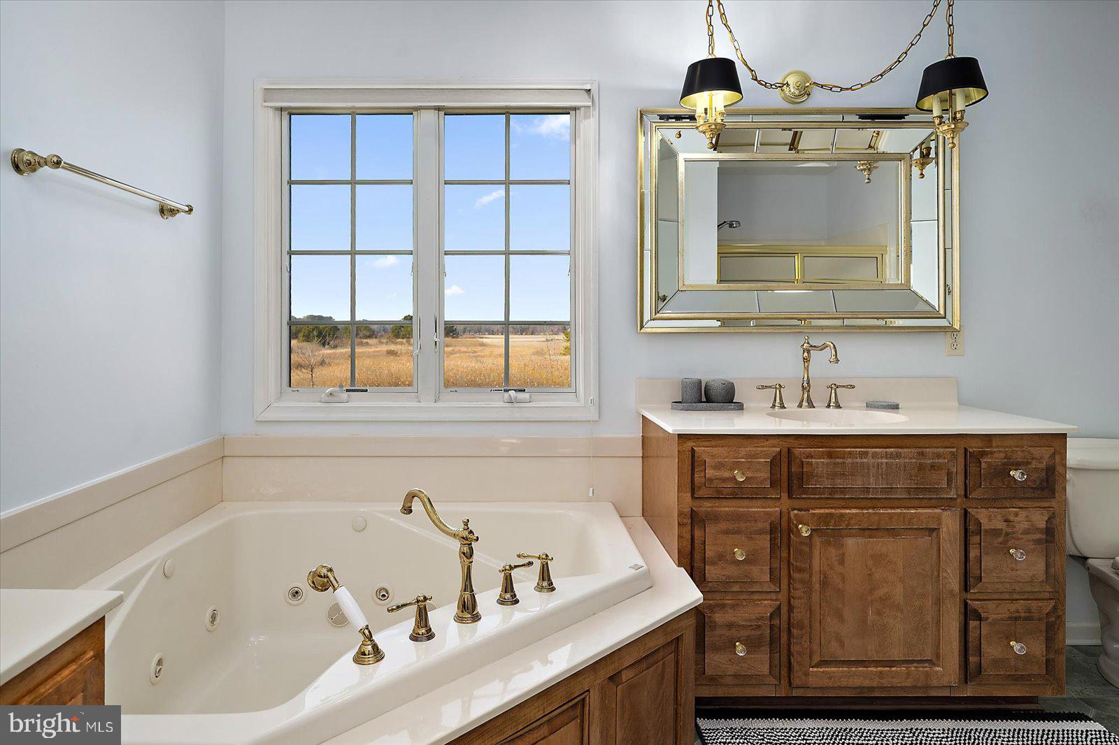 12661 Mallard Landing Road Princess Anne, MD 21853 - Photo 55 of 123 a bathroom with a bathtub sink and mirror