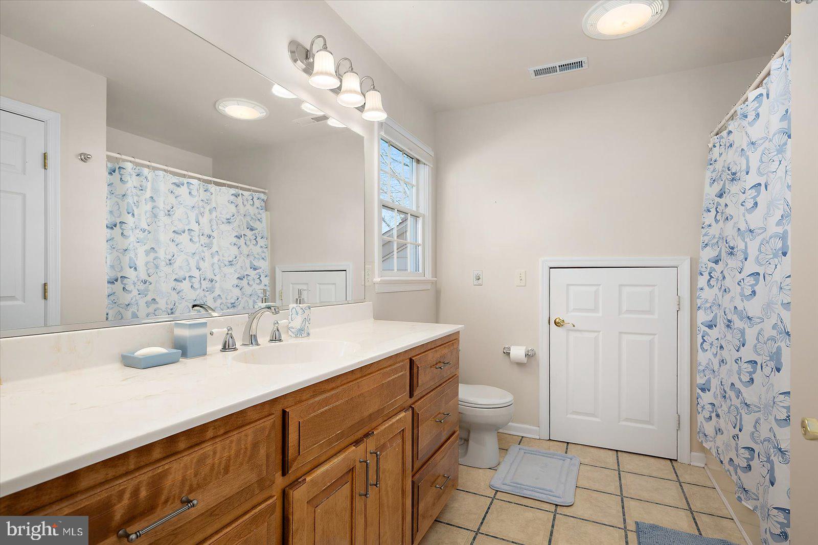 12661 Mallard Landing Road Princess Anne, MD 21853 - Photo 63 of 123 a bathroom with a sink a toilet and shower