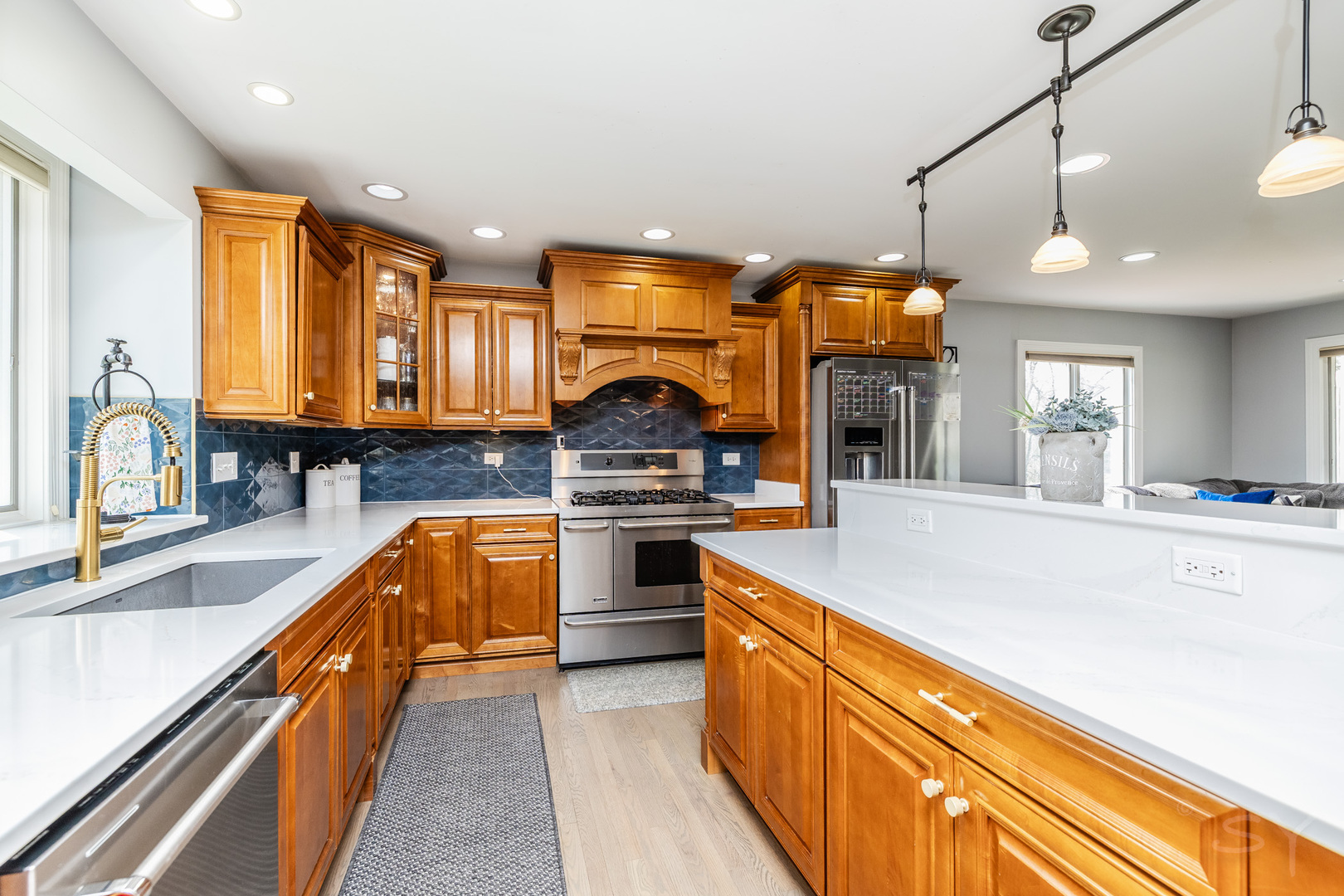 8001 William Drive Willowbrook, IL 60527 - Photo 6 of 73 a kitchen with stainless steel appliances granite countertop a sink a stove and a wooden floors