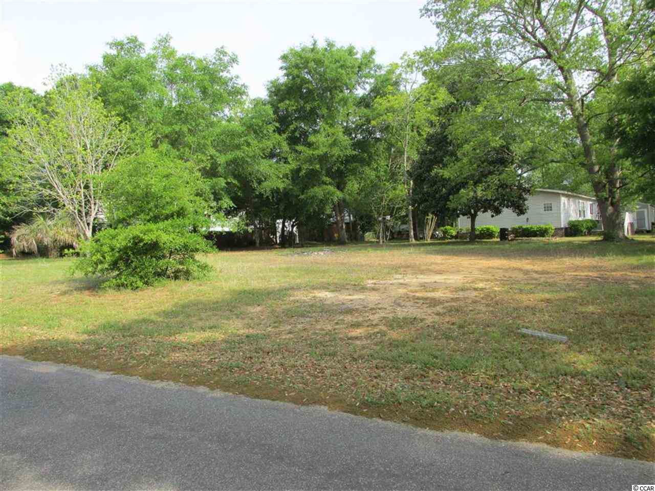 Lot 1 Witts Way Murrells Inlet, SC 29576 - Photo 4 of 8