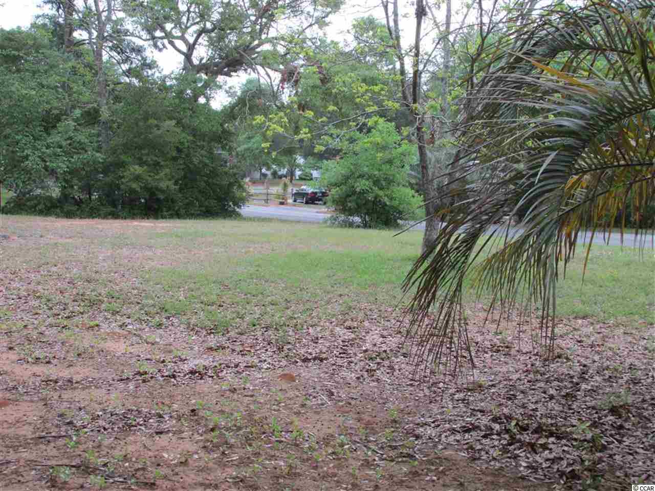 Lot 1 Witts Way Murrells Inlet, SC 29576 - Photo 6 of 8