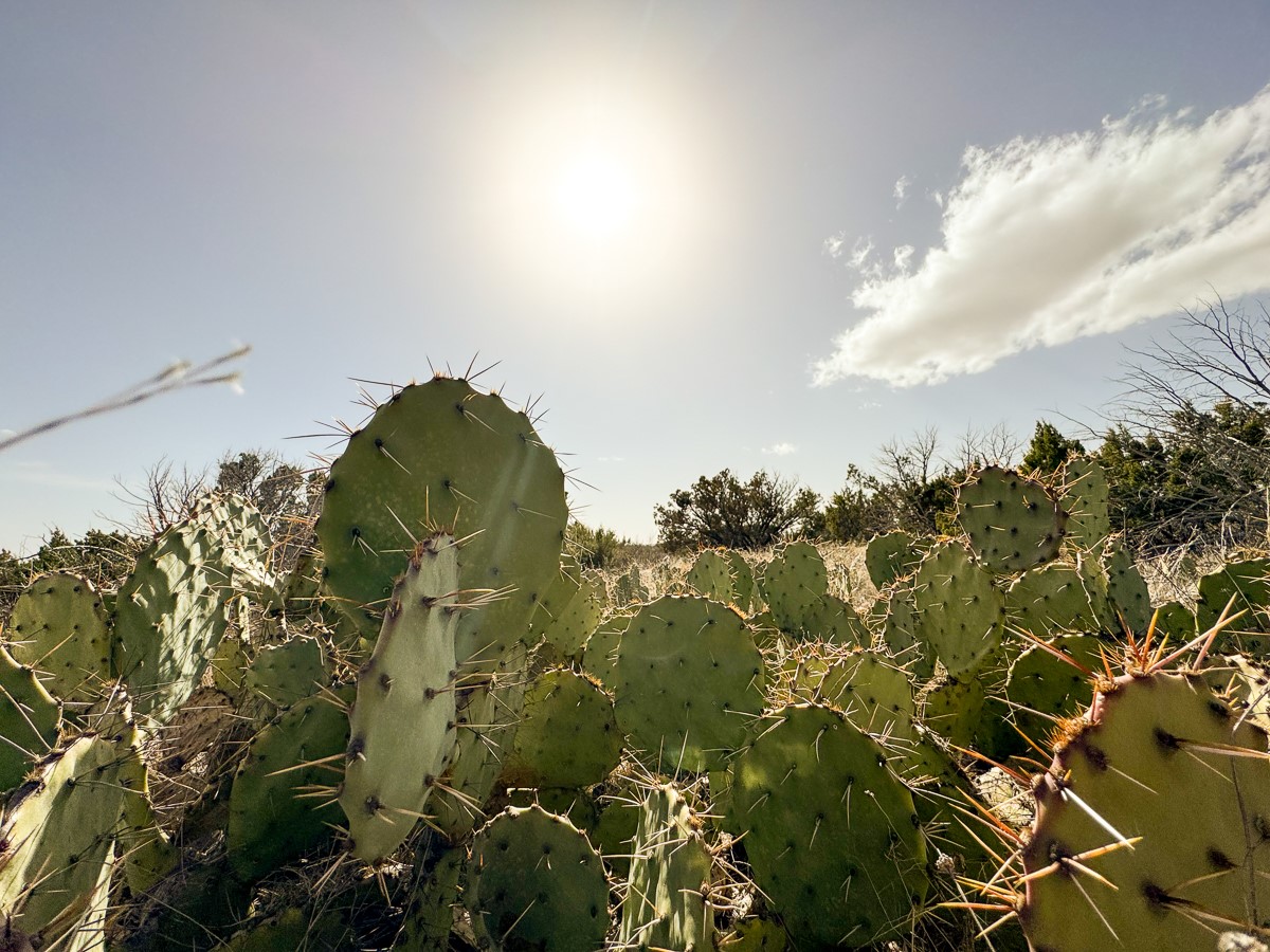 0 Marvin Road Comstock, TX 78837 - Photo 19 of 40