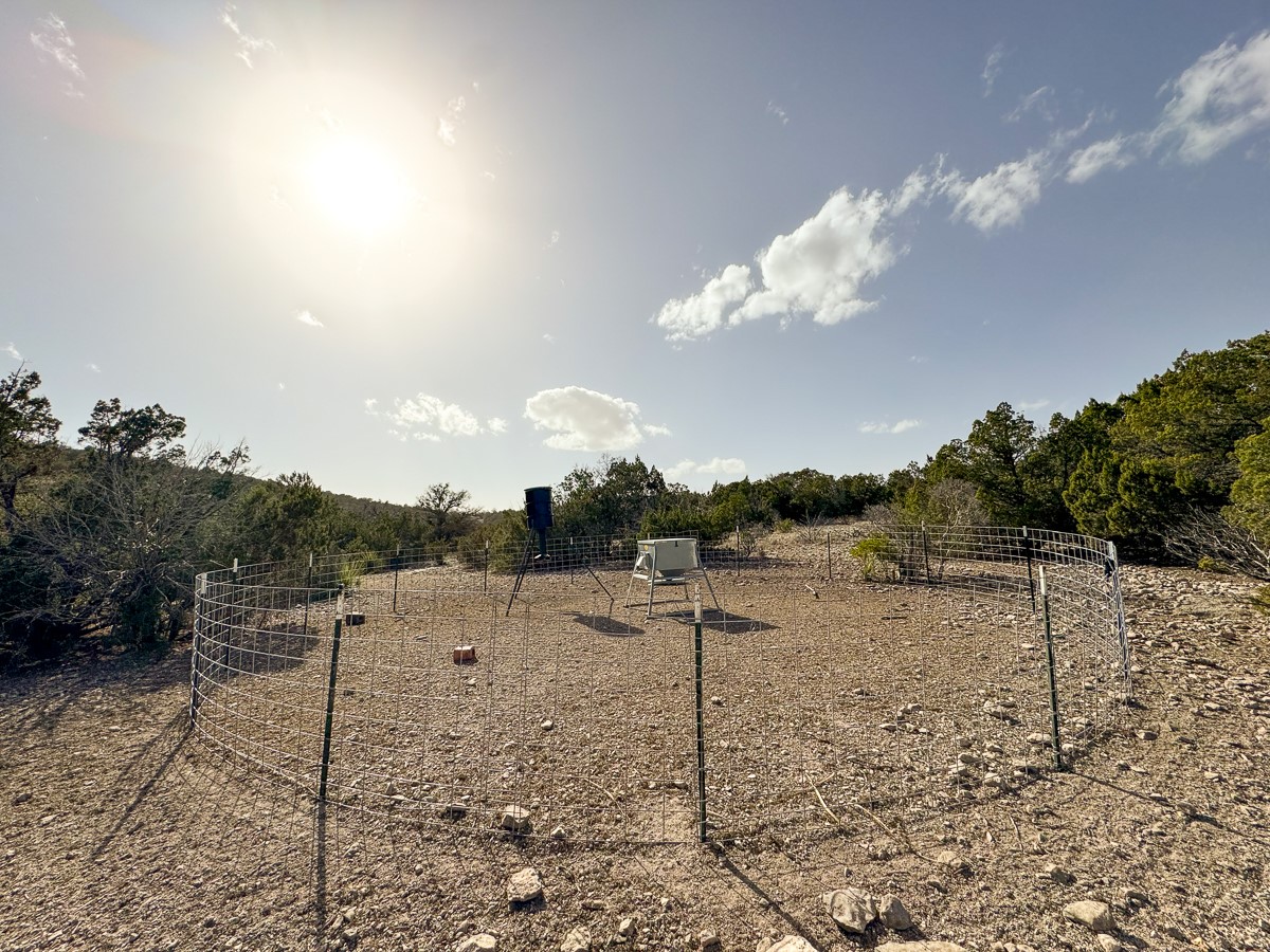 0 Marvin Road Comstock, TX 78837 - Photo 20 of 40 a view of a dry yard