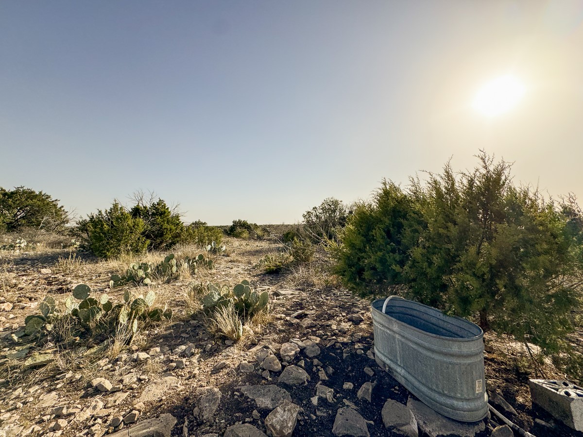 0 Marvin Road Comstock, TX 78837 - Photo 21 of 40 a view of a yard