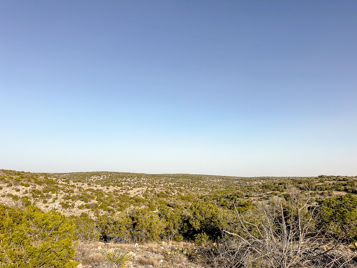 0 Marvin Road Comstock, TX 78837 - Photo 25 of 40 an aerial view of field