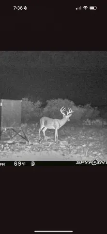 a view of a backyard of a house