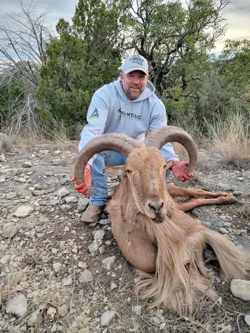 a view of a dry yard with wooden fence