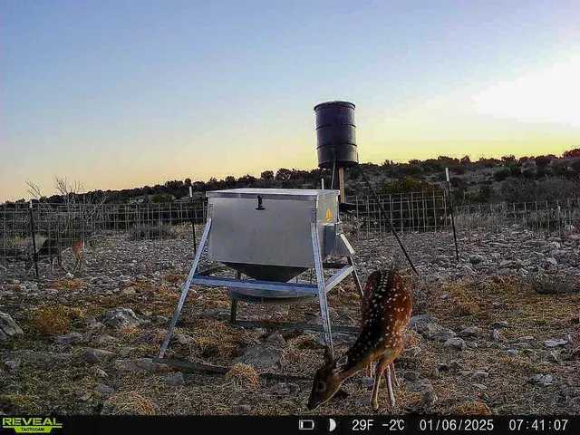 $937,750 | 0 Marvin Road, Comstock, TX 78837