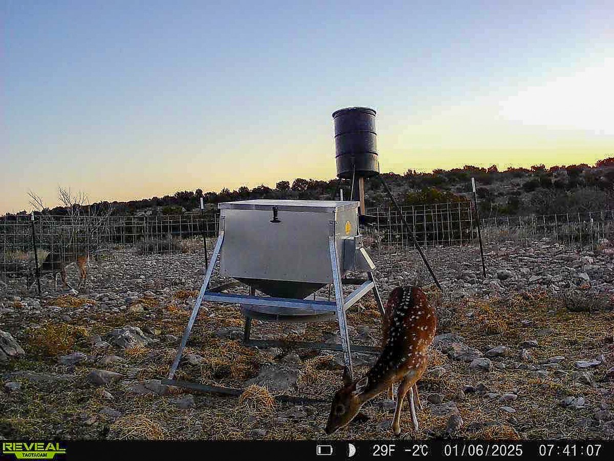 0 Marvin Road Comstock, TX 78837 - Photo 38 of 40 a view of a lake