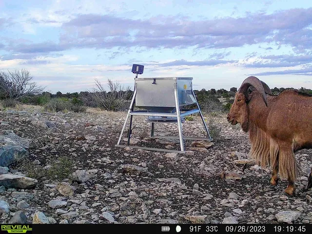 $937,750 | 0 Marvin Road, Comstock, TX 78837