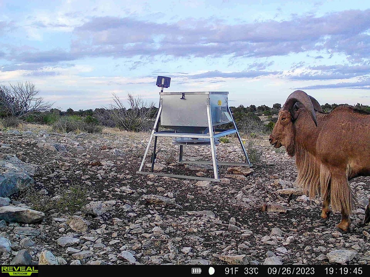 0 Marvin Road Comstock, TX 78837 - Photo 39 of 40 a view of a dry yard with wooden fence