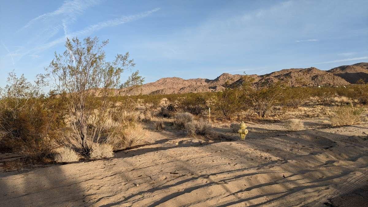 6742 Mile Square Road Joshua Tree, CA 92252 - Photo 6 of 13 a view of a dry yard with wooden fence