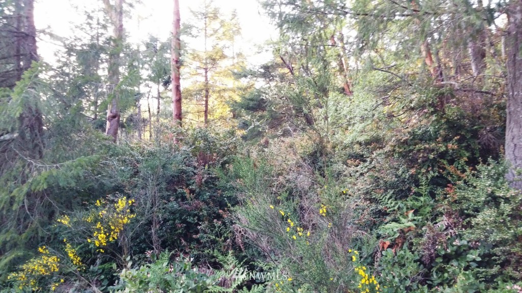 13774 Bandix Road Southeast Olalla, WA 98359 - Photo 1 of 7 Gallery Image 1