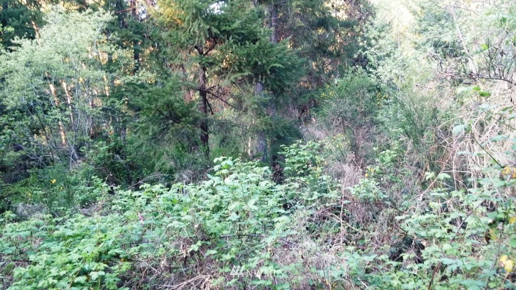 13774 Bandix Road Southeast Olalla, WA 98359 - Photo 2 of 7 Gallery Image 2