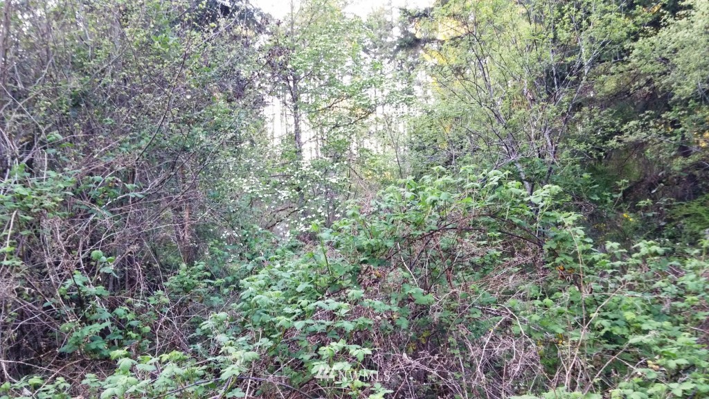 13774 Bandix Road Southeast Olalla, WA 98359 - Photo 3 of 7 Gallery Image 3