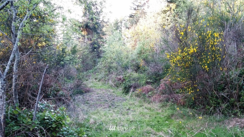 13774 Bandix Road Southeast Olalla, WA 98359 - Photo 4 of 7 Gallery Image 4