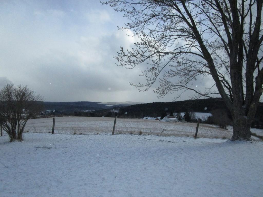 148 Standish Road Greene, NY 13778 - Photo 25 of 35 Gallery Image 25