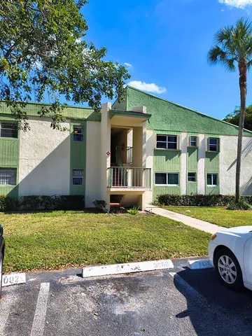 a view of backyard with large trees and potted plants