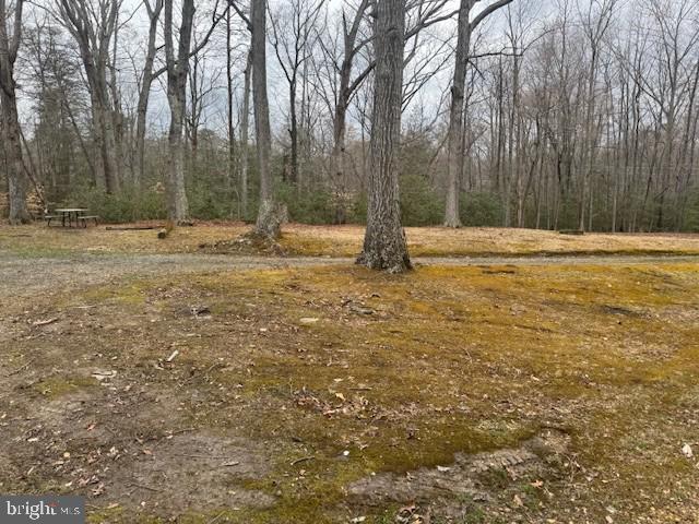 9285 Old Stagecoach Road La Plata, MD 20646 - Photo 14 of 14 a view of a yard with trees